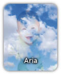 aria
